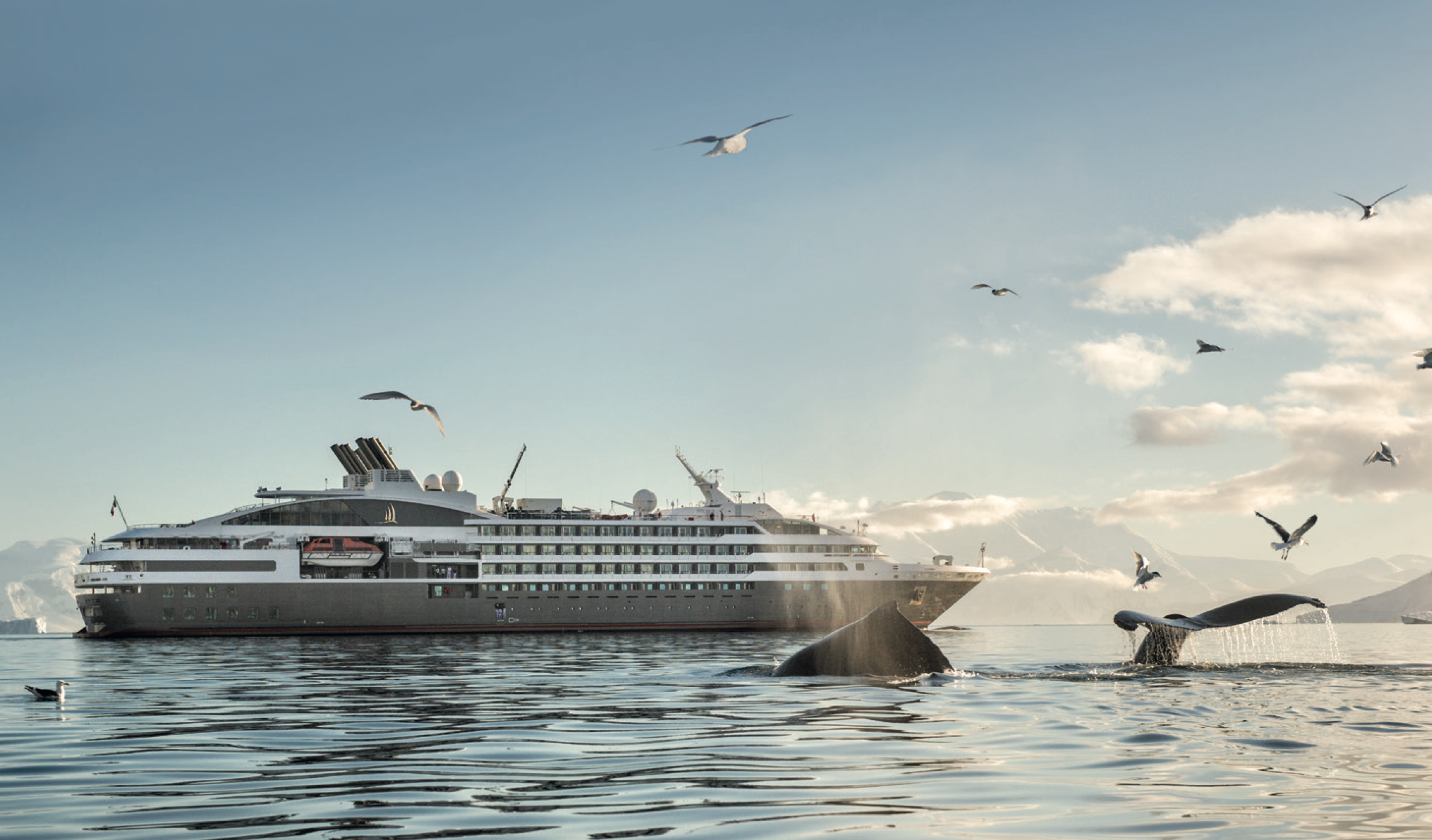 Luxusexpedition Kreuzfahrt – PONANT für die Wintersaison 2024/2025